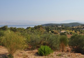 Konia, Paphos Bungalow Sold | P5601